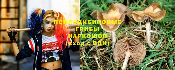 амф Бородино