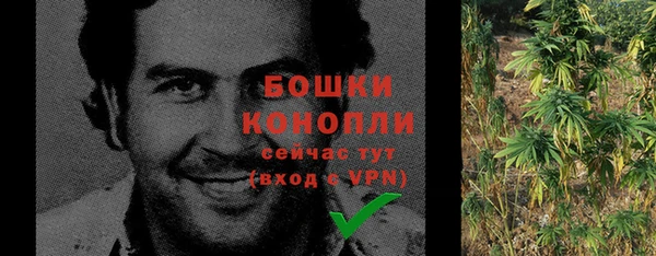 гидра Бугульма