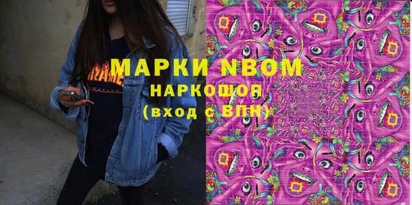амф Бородино