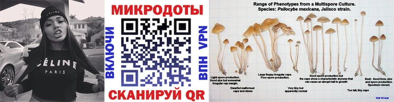 Галлюциногенные грибы Cubensis  Купить где  Борисоглебск 